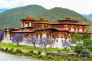Tour Du Lịch tâm linh Bhutan 5 Ngày 4 Đêm - Khám Phá Vương Quốc Hạnh Phúc Nhất Thế Giới