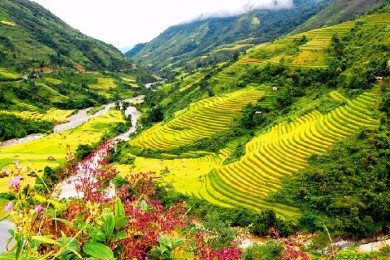 Bật mí top 5 địa điểm du lịch Sapa mùa hè đẹp nhất