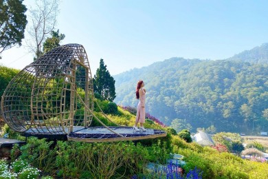 Tour Du Lịch Đà Lạt 3 Ngày 2 Đêm Từ Hà Nội