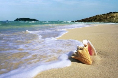 Tour Du Lịch Cam Ranh - Mũi Né - Nha Trang 4 Ngày 3 Đêm Hè