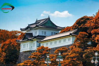 Tour Nhật Bản 6 Ngày 5 Đêm Mùa Thu Lá Đỏ