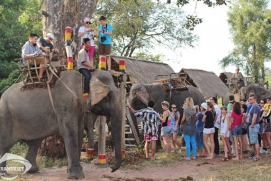 Tour Du Lịch Tây Nguyên 3 Ngày 2 Đêm - Tà Đùng - Buôn Mê Thuột