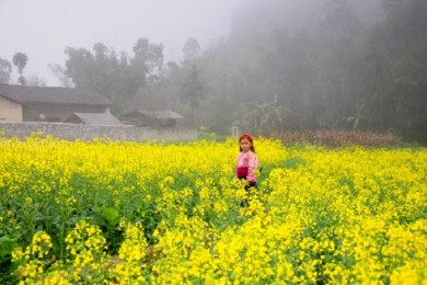 Tour Hà Giang 4 Ngày 3 Đêm Từ Hà Nội: Cao Nguyên Đá - Pác Bó - Thác Bản Giốc - Động Ngườm Ngao