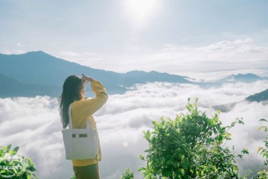 Tour Du Lịch Mộc Châu - Săn Mây Tà Xùa 2 Ngày 1 Đêm