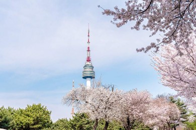 Tour Hàn Quốc 5 ngày 4 đêm: HÀ NỘI - SEOUL - NAMI - CÔNG VIÊN EVERLAND