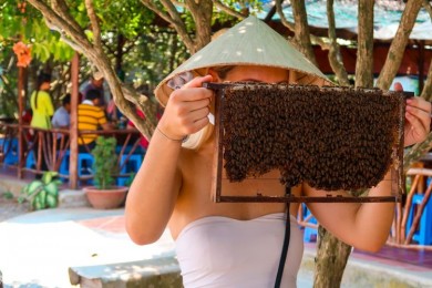 Tour Mỹ Tho - Bến Tre 1 Ngày Từ TP.Hồ Chí Minh