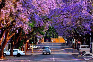 Tour Du Lịch Nam Phi - Thiên Đường Bí Ẩn Chờ Khám Phá 8 ngày 7 đêm