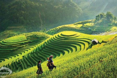 Tour Du Lịch Tây Bắc 5 Ngày 4 Đêm - Mù Cang Chải - Sapa - Fansipan - Lai Châu - Điện Biên - Mộc Châu - Mai Châu