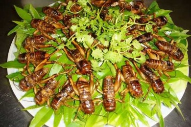 Ẩm thực đường phố - nét độc đáo của văn hóa ẩm thực ở Viêng Chăn