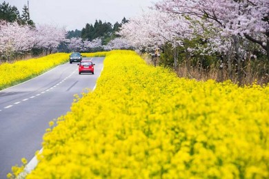 5 điểm đến bạn không thể bỏ qua khi du lịch Hàn Quốc