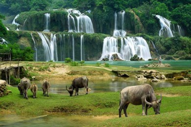 Tour Sapa 2 ngày 3 đêm từ Hà Nội bằng tàu hỏa