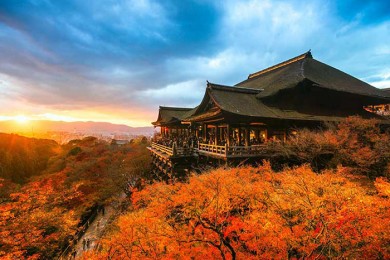Tour Du Lịch Nhật Bản Mùa Thu 5 ngày 4 đêm từ Hà Nội