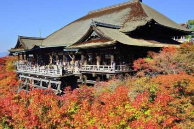 Tour Du lịch Nhật Bản 6 Ngày 5 Đêm từ Hà Nội