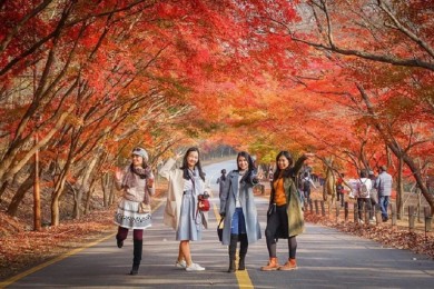 Tour Du Lịch Hà Nội – Seoul – Nami – Everland 5 Ngày 4 Đêm Mùa Lá Đỏ (Bay Vietjet Air)