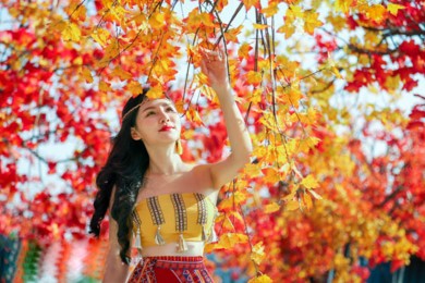 Tour Du Lịch Hàn Quốc Mùa Thu 6 ngày 5 Đêm Miễn Thị Thực Từ Hà Nội