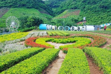 Du Lịch Mộc Châu 2 Ngày 1 Đêm Từ Hải Phòng