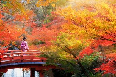 Tour Du Lịch Nhật Bản Mùa Lá Đỏ 6 Ngày 5 Đêm