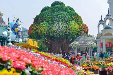 Tour Hàn Quốc 5 Ngày 4 Đêm Mùa Lá Đỏ (Bay OZ)