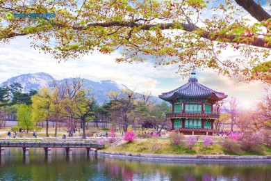 Du Lịch Hàn Quốc Shopping tour 4 Ngày 3 Đêm