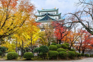 Tour Du Lịch Nhật Bản 6 Ngày 5 Đêm Mùa Thu Lá Đỏ