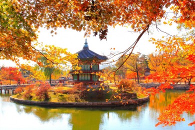 Tour du lịch Hàn Quốc mùa thu 6 ngày giá rẻ