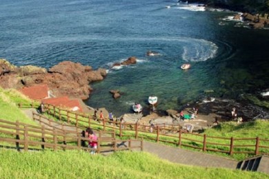 Tour Du Xuân Đảo Jeju 4 Ngày 3 Đêm
