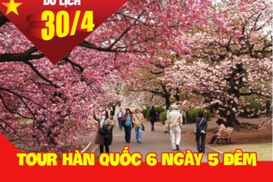 Tour Du Lịch Hàn Quốc 6 Ngày 5 Đêm Dịp lễ 30/4 Và 1/5 (Bay KE/OZ 5*****)