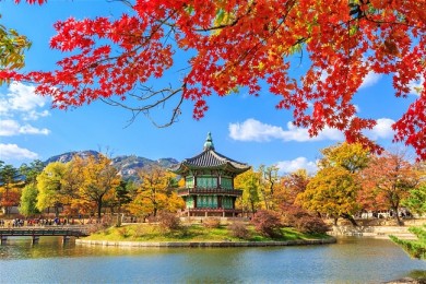 Du Lịch Hàn Quốc 6 Ngày 5 Đêm Giá Rẻ Từ Hà Nội