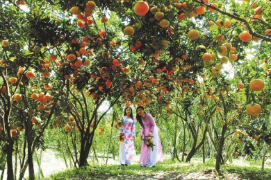 Tour Du Lịch Miền Tây – Phú Quốc 8 Ngày 7 Đêm
