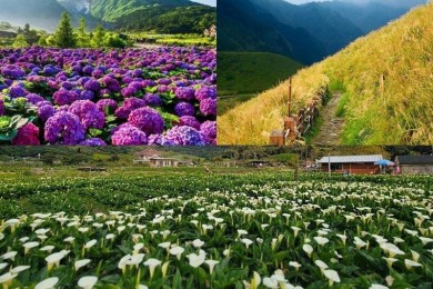15+ Cảnh Đẹp Đài Loan Nổi Tiếng Không Thể Bỏ Lỡ