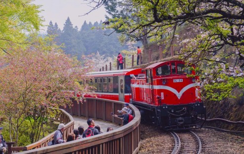 Bỏ Túi Kinh Nghiệm Đi Alishan Đài Loan Chi Tiết