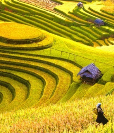 Chi Phí Du Lịch Sapa: Cập Nhật Mới Nhất Và Cách Tối Ưu Ngân Sách