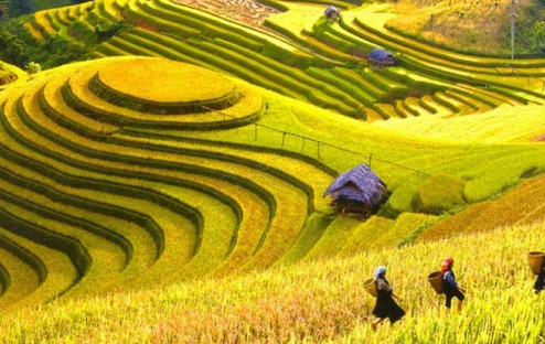 Chi Phí Du Lịch Sapa: Cập Nhật Mới Nhất Và Cách Tối Ưu Ngân Sách