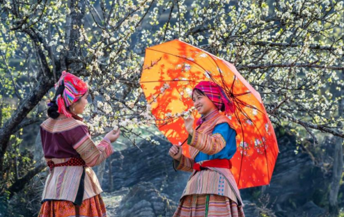 Có Bao Nhiêu Dân Tộc Ở Sapa? Khám Phá Nét Đẹp Văn Hóa Đa Sắc Màu