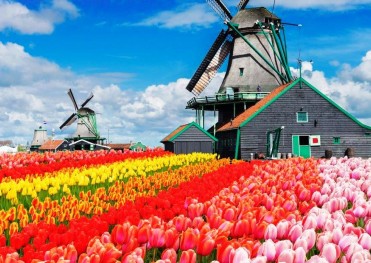 THƯỞNG NGOẠN LỄ HỘI HOA TULIP Ý - THUỴ SĨ – ĐỨC - HÀ LAN - BỈ - PHÁP MILAN – LUCERNE - ENGELBERG – COLMAR – STRASBOURG – FRANKFURT – KEUKENHOF – AMSTERDAM - ZAANSE SCHANS – BRUSSELS – PARIS