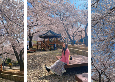 HÀN QUỐC MÙA HOA  SEOUL – ĐẢO NAMI – CÔNG VIÊN EVERLAND  LỄ 30-4