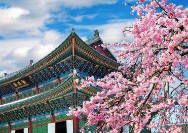 KHÁM PHÁ XỨ SỞ KIM CHI HÀ NỘI - SEOUL – ĐẢO NAMI – THÁP TRUYỀN HÌNH NAMSAN - CV EVERLAND – THƯ VIỆN STARFIELD – HÀ NỘI 2026