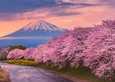 DU LỊCH NHẬT BẢN TOKYO- NÚI PHÚ SĨ-NAGOYA-KYOTO- OSAKA