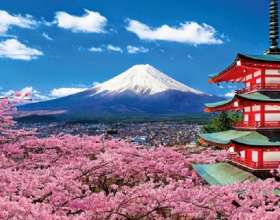 Đi du lịch Nhật Bản tháng 1 có gì đẹp