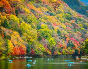 Đi du lịch Nhật Bản mùa nào đẹp nhất?