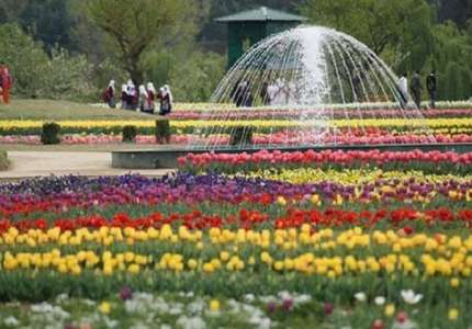Chiêm ngưỡng vẻ đẹp của vườn hoa tulip lớn nhất châu Á