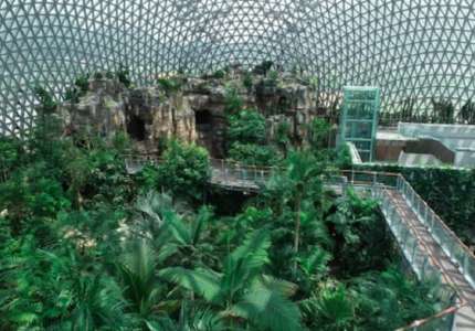 George Jungle Dome rừng nhiệt đới ở trong nhà ở Hàn Quốc