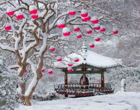 Ngắm thảm tuyết trắng Hàn Quốc