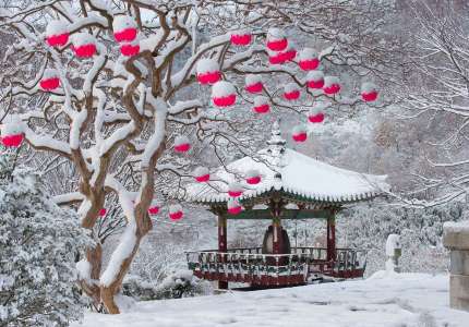 Ngắm thảm tuyết trắng Hàn Quốc