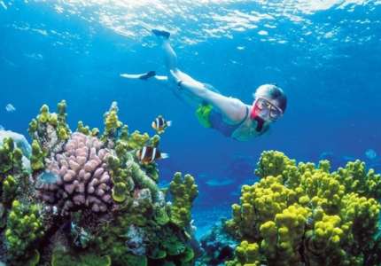 5 Điểm ngắm san hô đẹp nhất trong dịp hè bạn nên biết