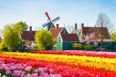 ĐÓN TẾT NGUYÊN ĐÁN TẠI CHÂU ÂU ĐỨC – HÀ LAN – BỈ - LUXEMBOURG - PHÁP