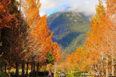 KHÁM PHÁ ĐÀI LOAN CAO HÙNG - ĐÀI TRUNG - ĐÀI BẮC