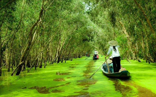 Tour Miền Tây