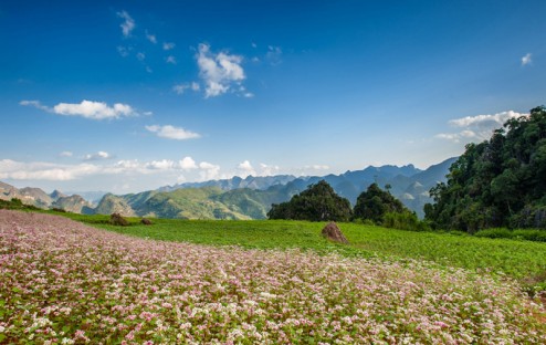 Kinh nghiệm du lịch Hà Giang tự túc đầy đủ nhất
