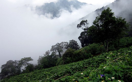 Tour Tam Đảo